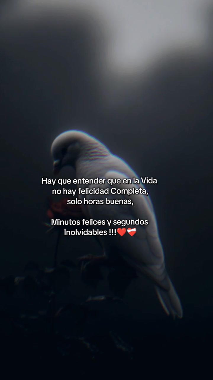 @Jaime