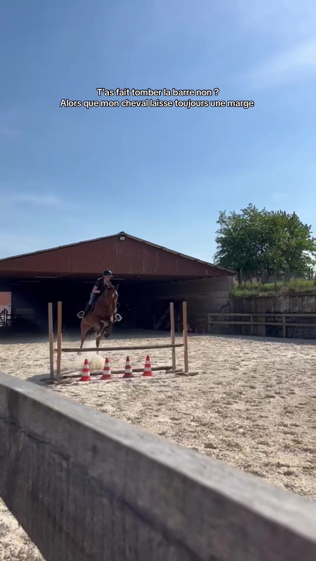 @Karen & Falcon 🦋