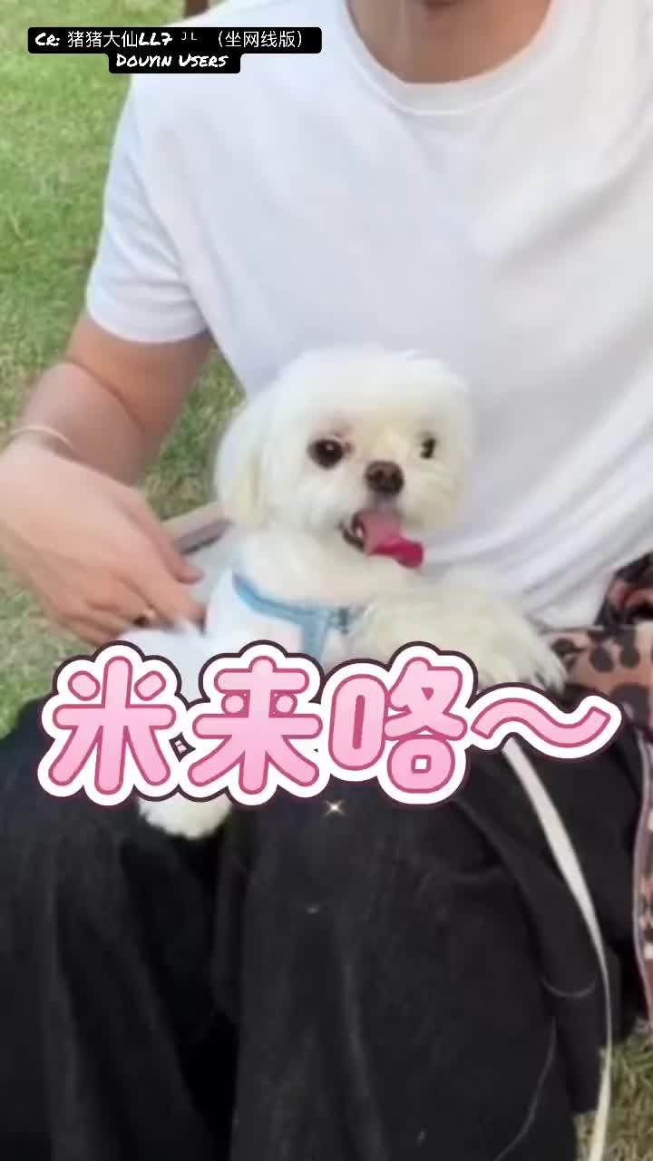 @suplilyjielin