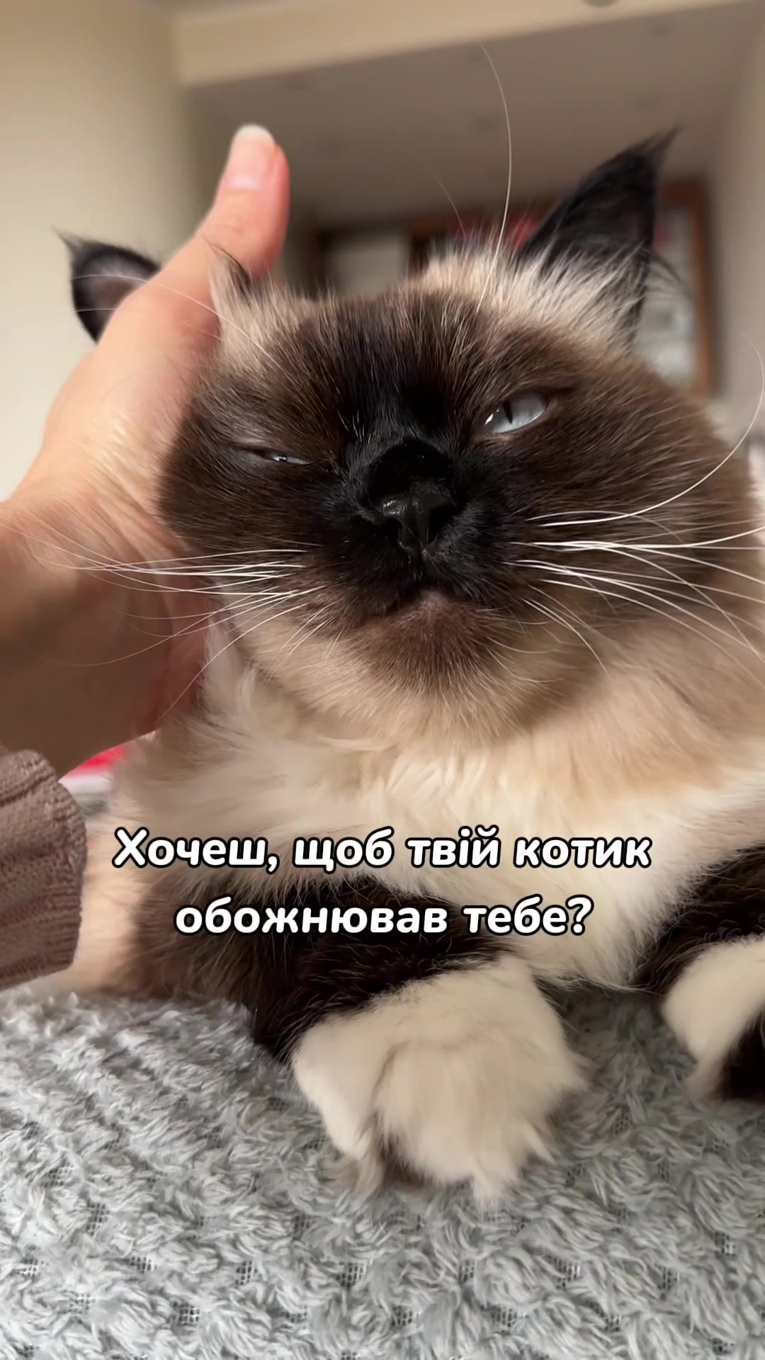 @Місс КІСЯ