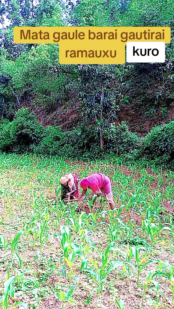 @Sita Basnet8565