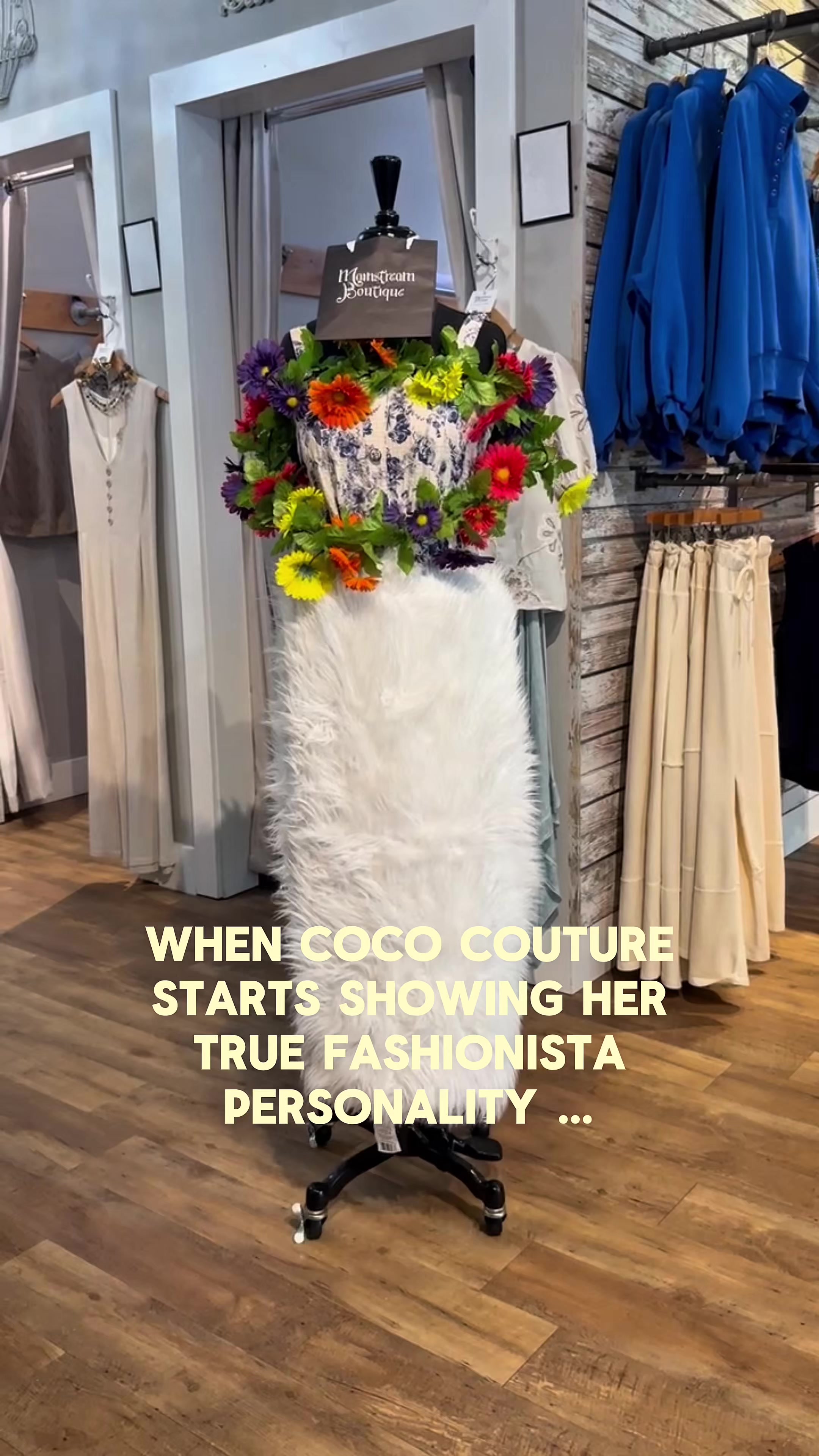 @mainstreamboutiqueCLT