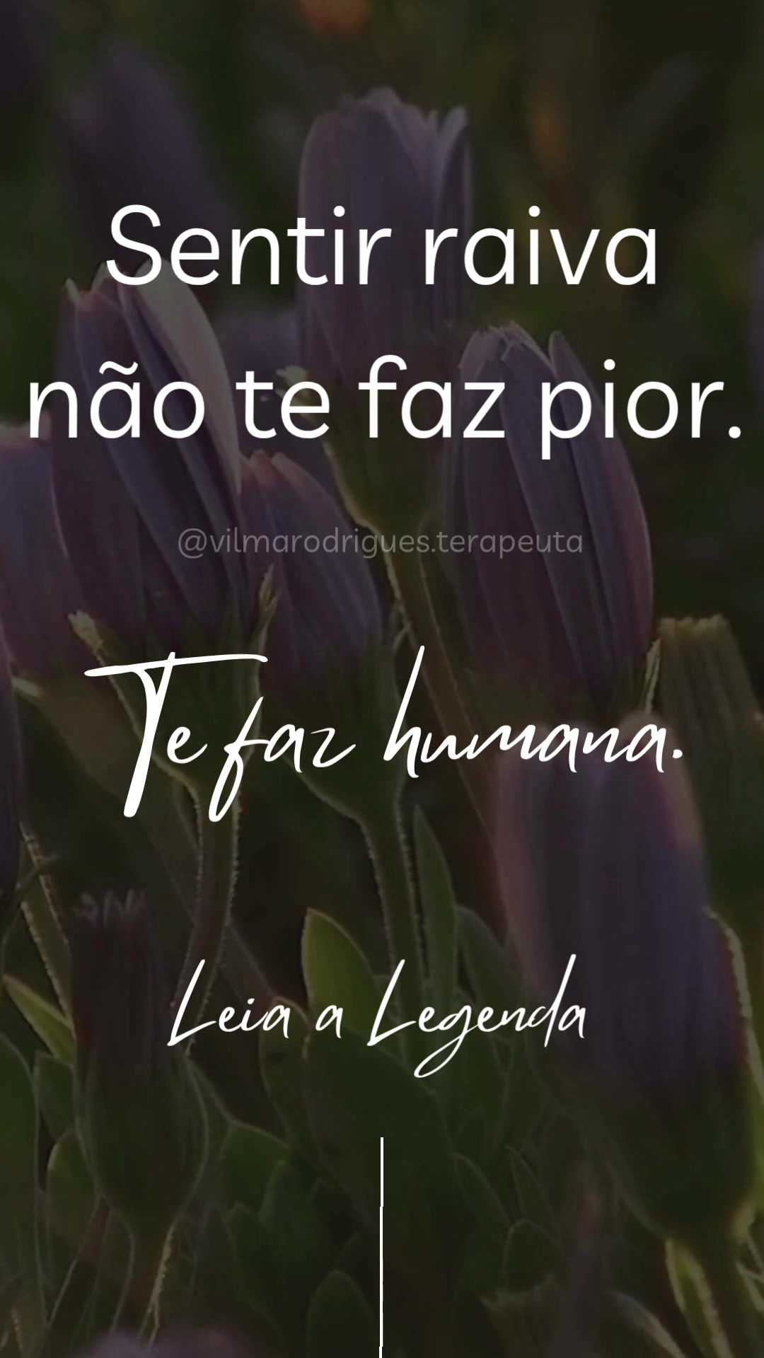 @vilmarodrigues.terapeuta