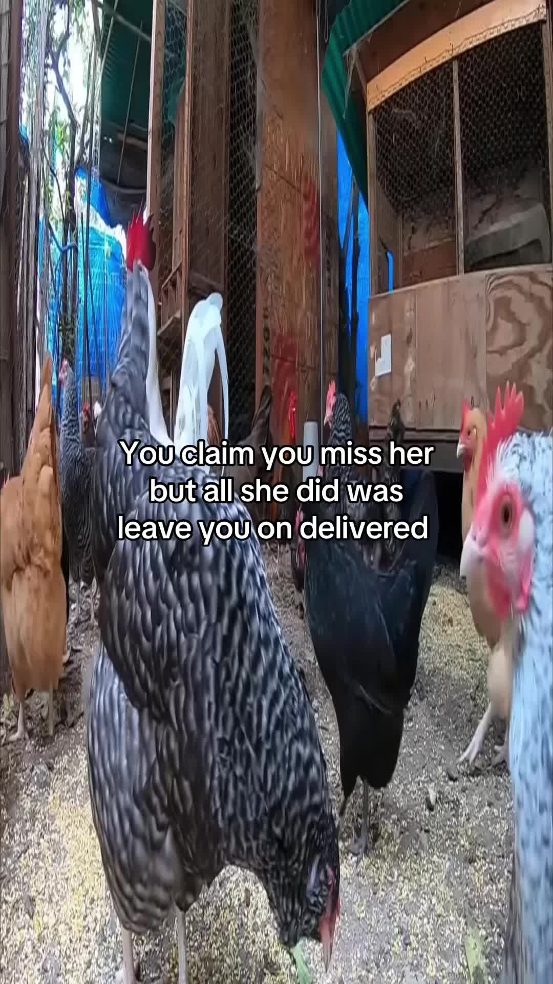 @J
