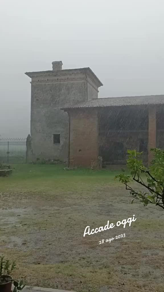 @Diego Ferrari
