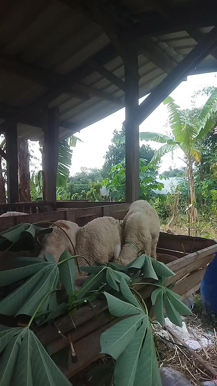 @I'm A Farmer