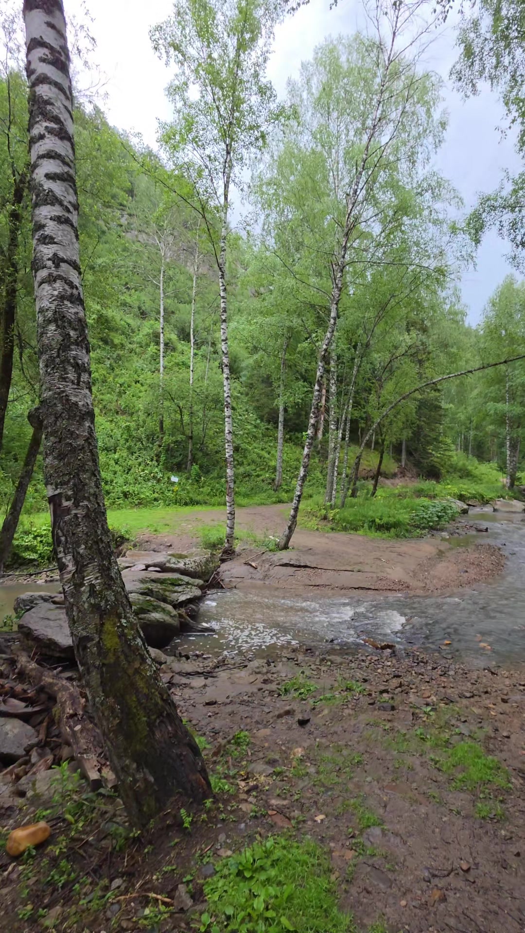 @Яркое Лето