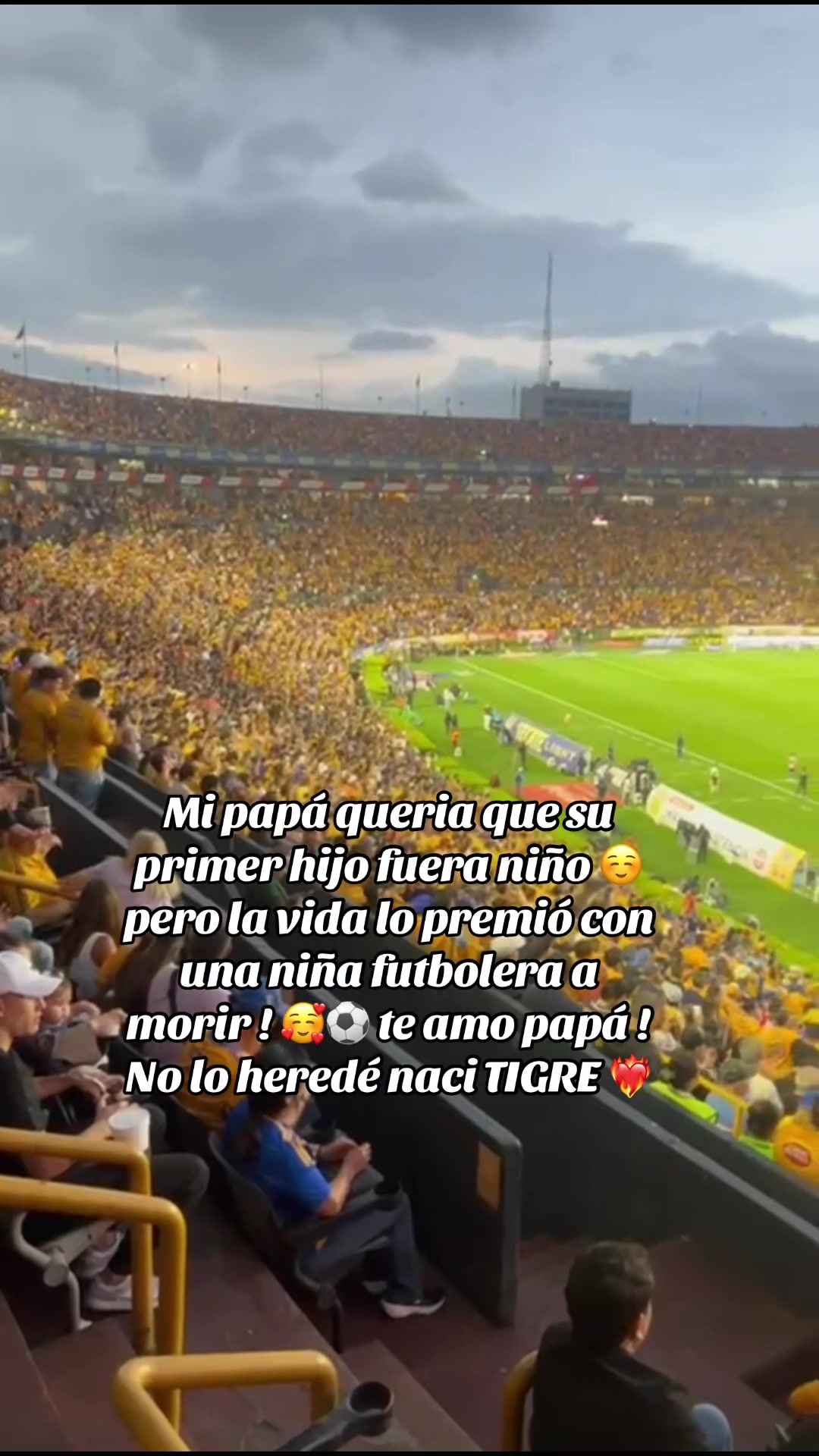 @Yamile Muñoz