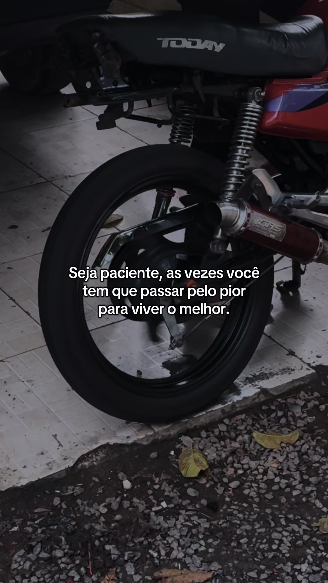 @sc_lipe_zk