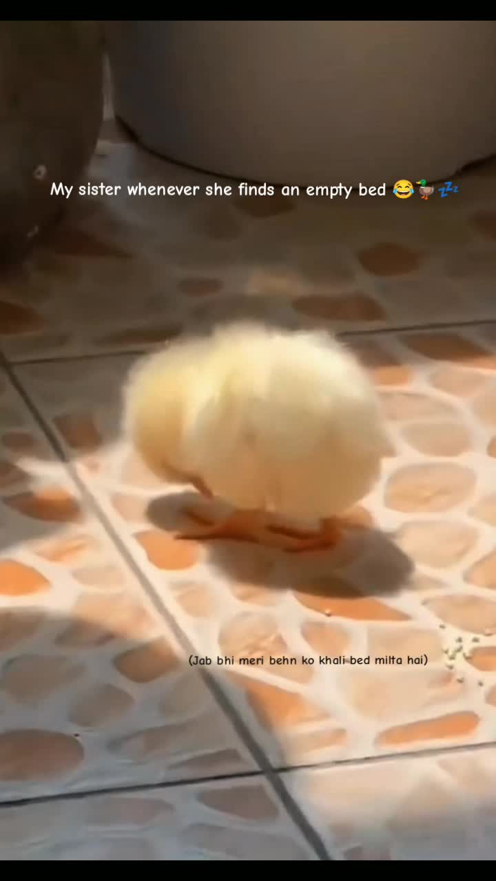 @👀🌚❤️