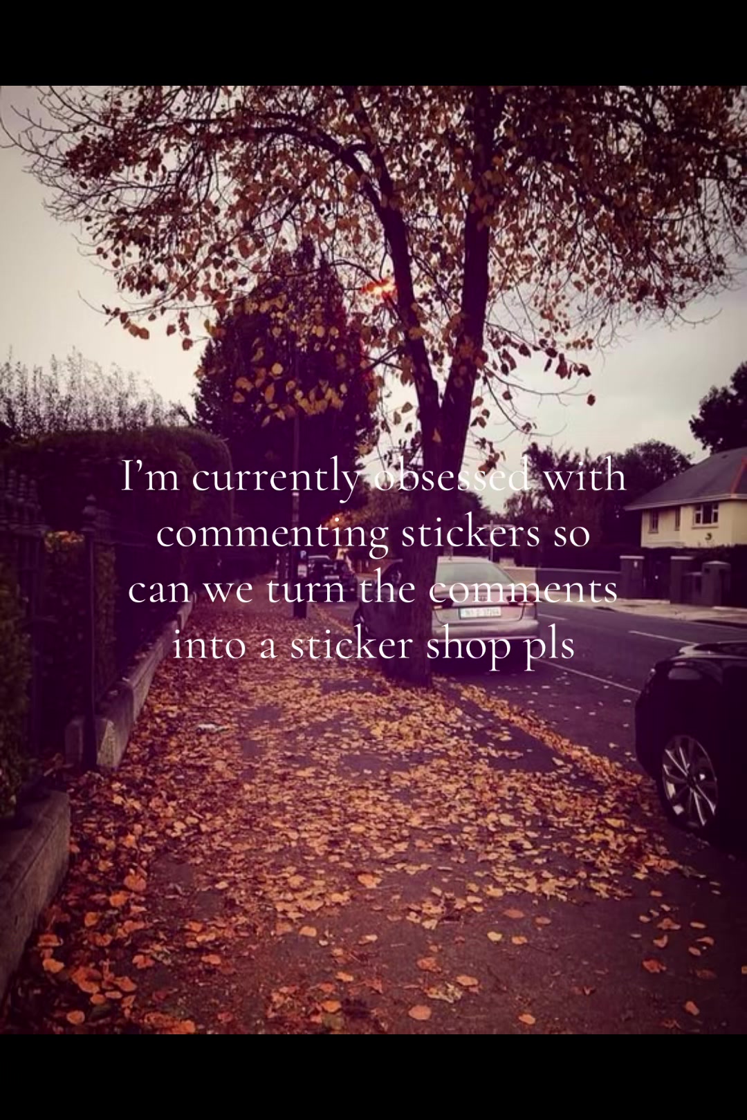 @Hailey <3