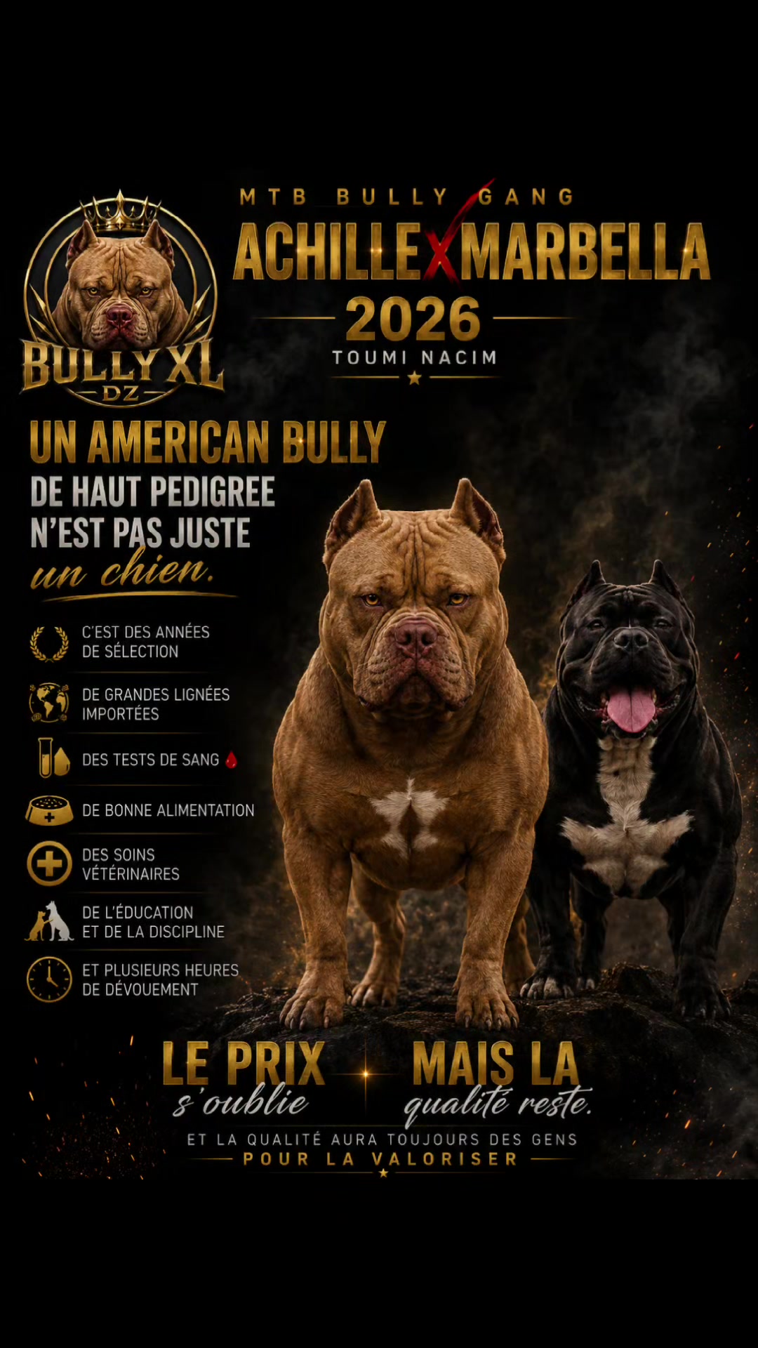 @bully xl dz 🇩🇿🦍