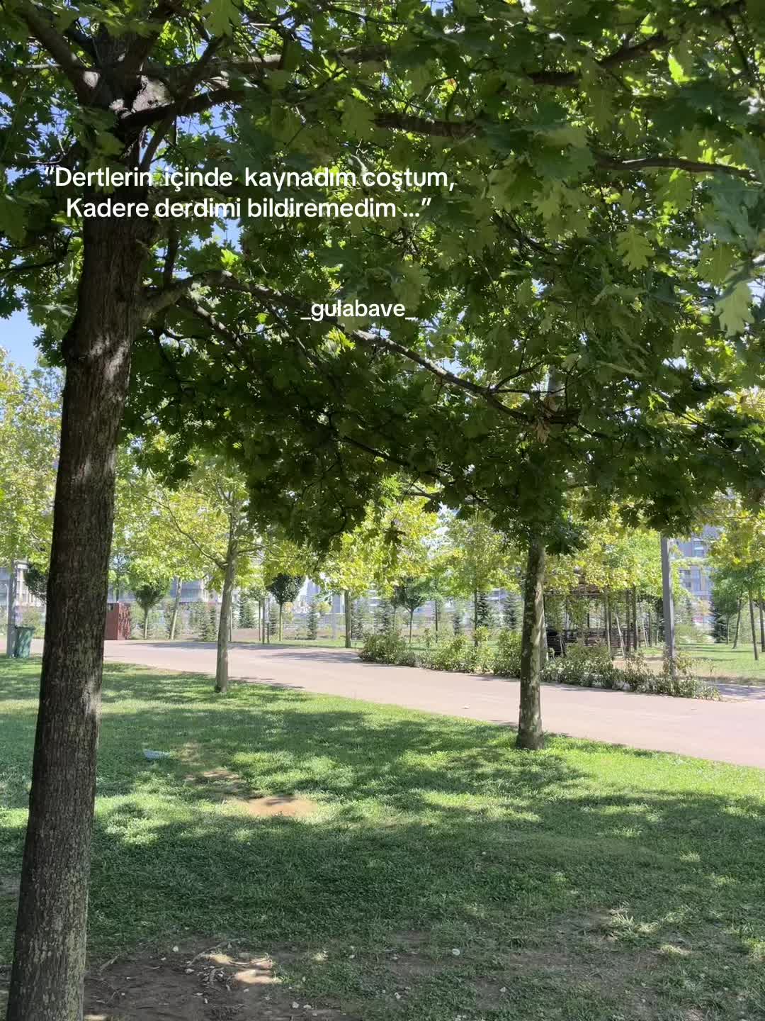 @Gulabave