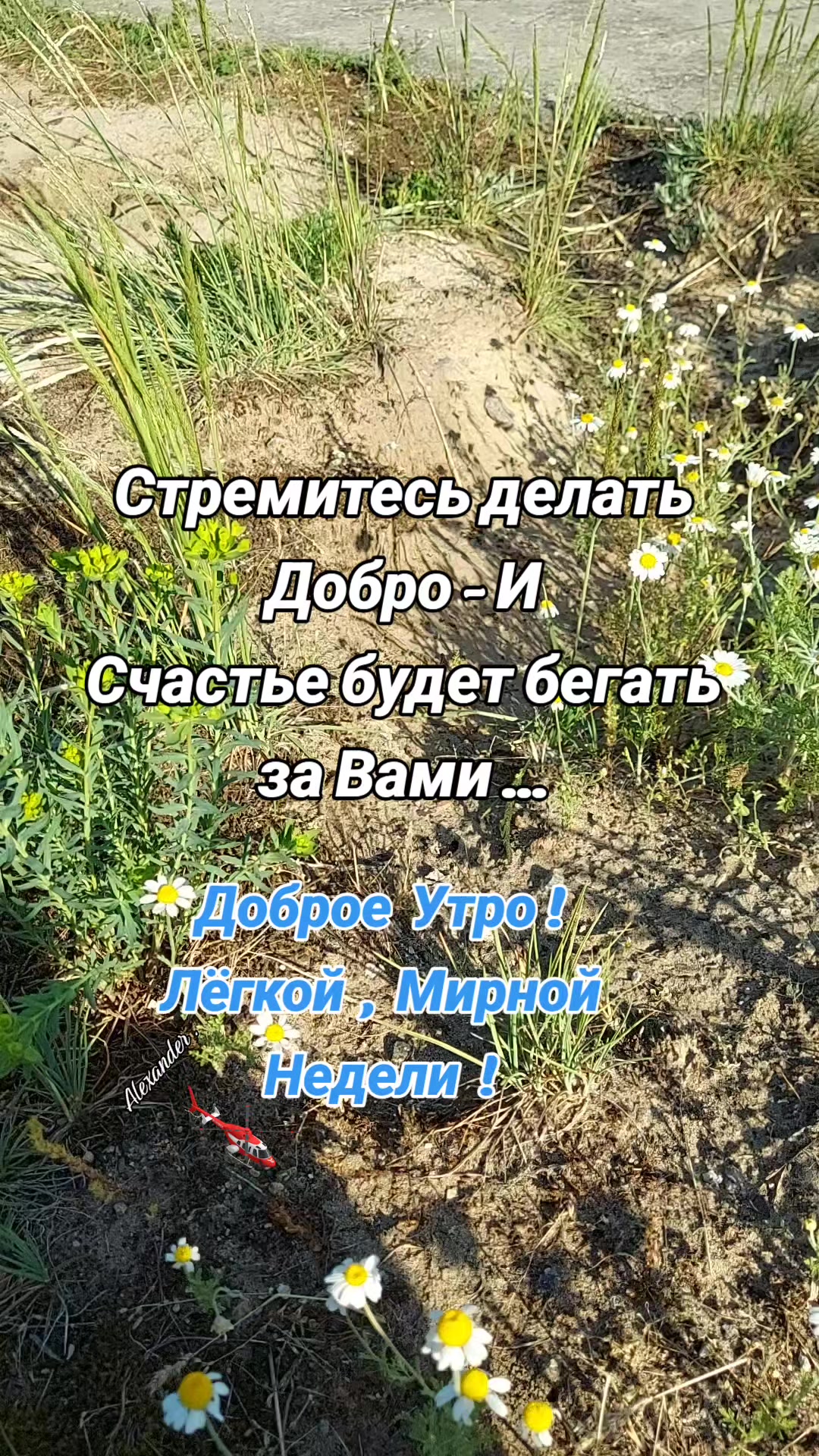 @Александр