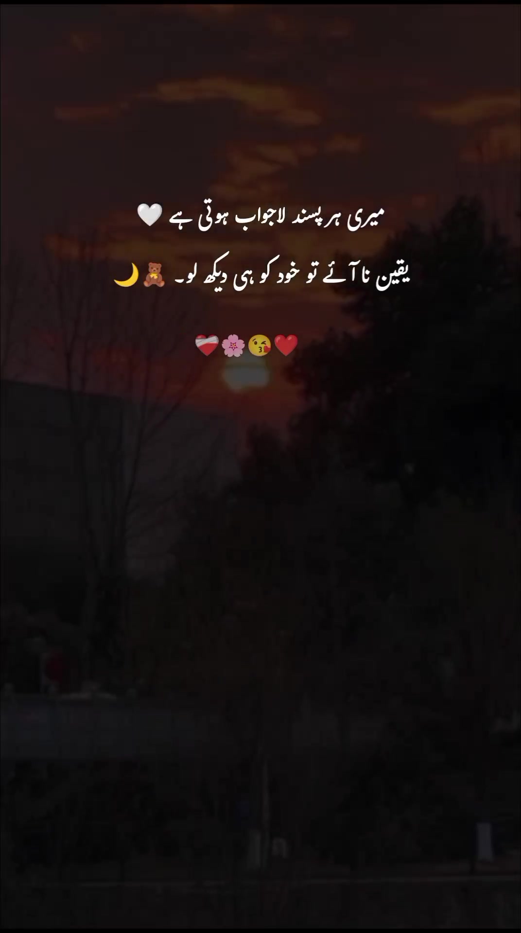 @ﮩـﮩﮩ٨ـ🫀ﮩ٨ـﮩﮩ٨ـ
