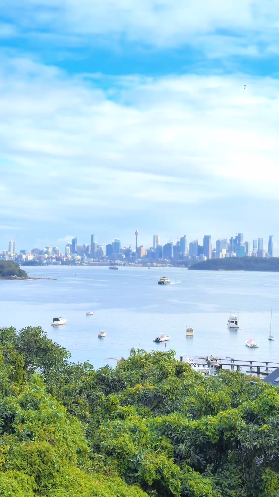 @🇹🇼Holly 🇦🇺Australia