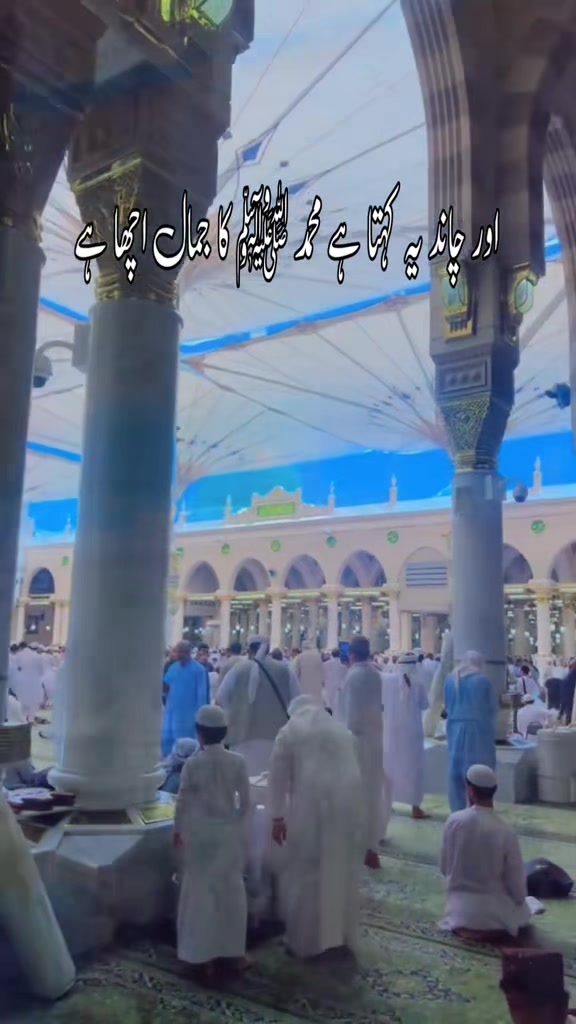 @Waqar GuL✅