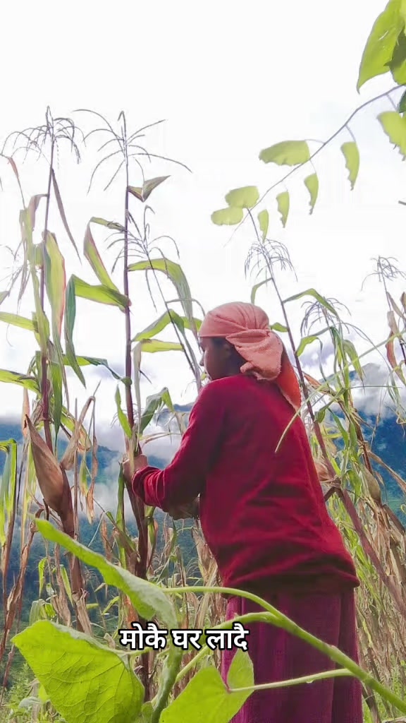 @स्नेहा ✨✨
