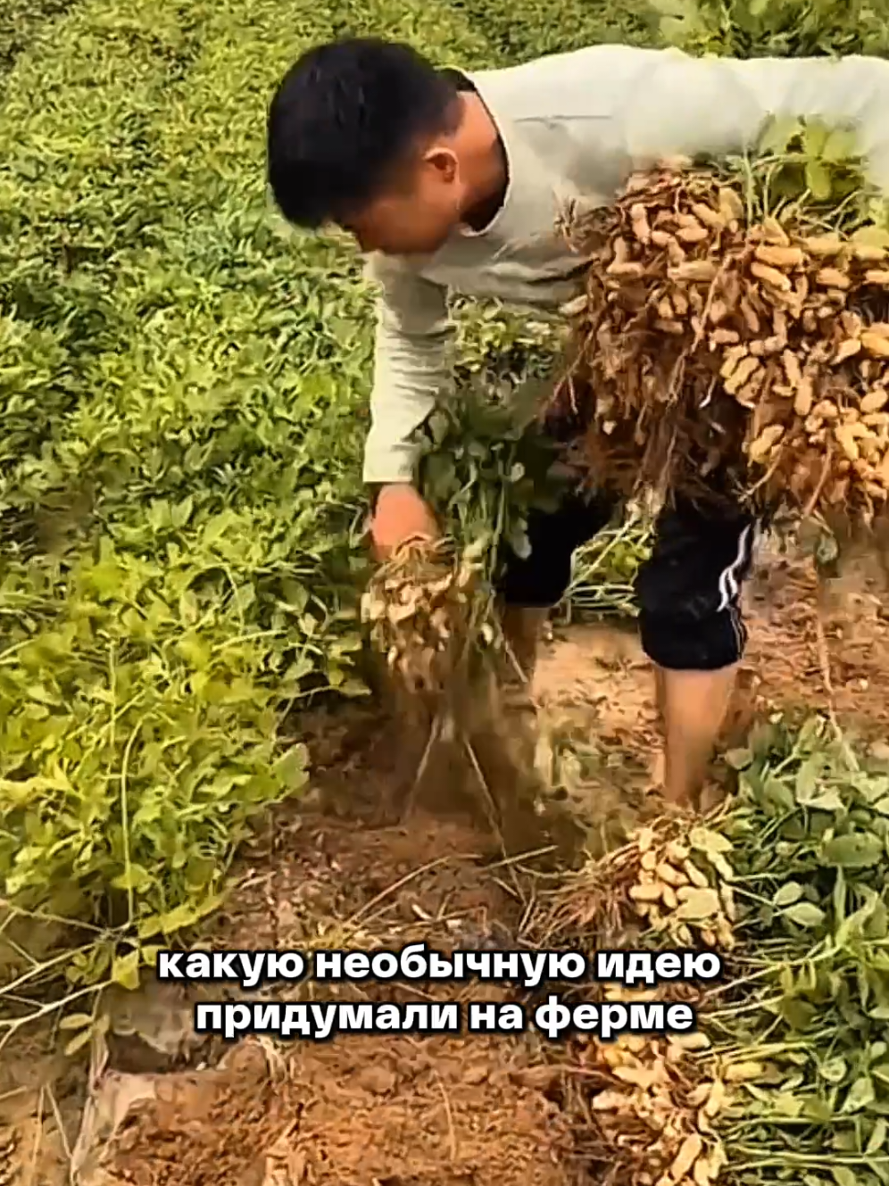 @Igor Ganea