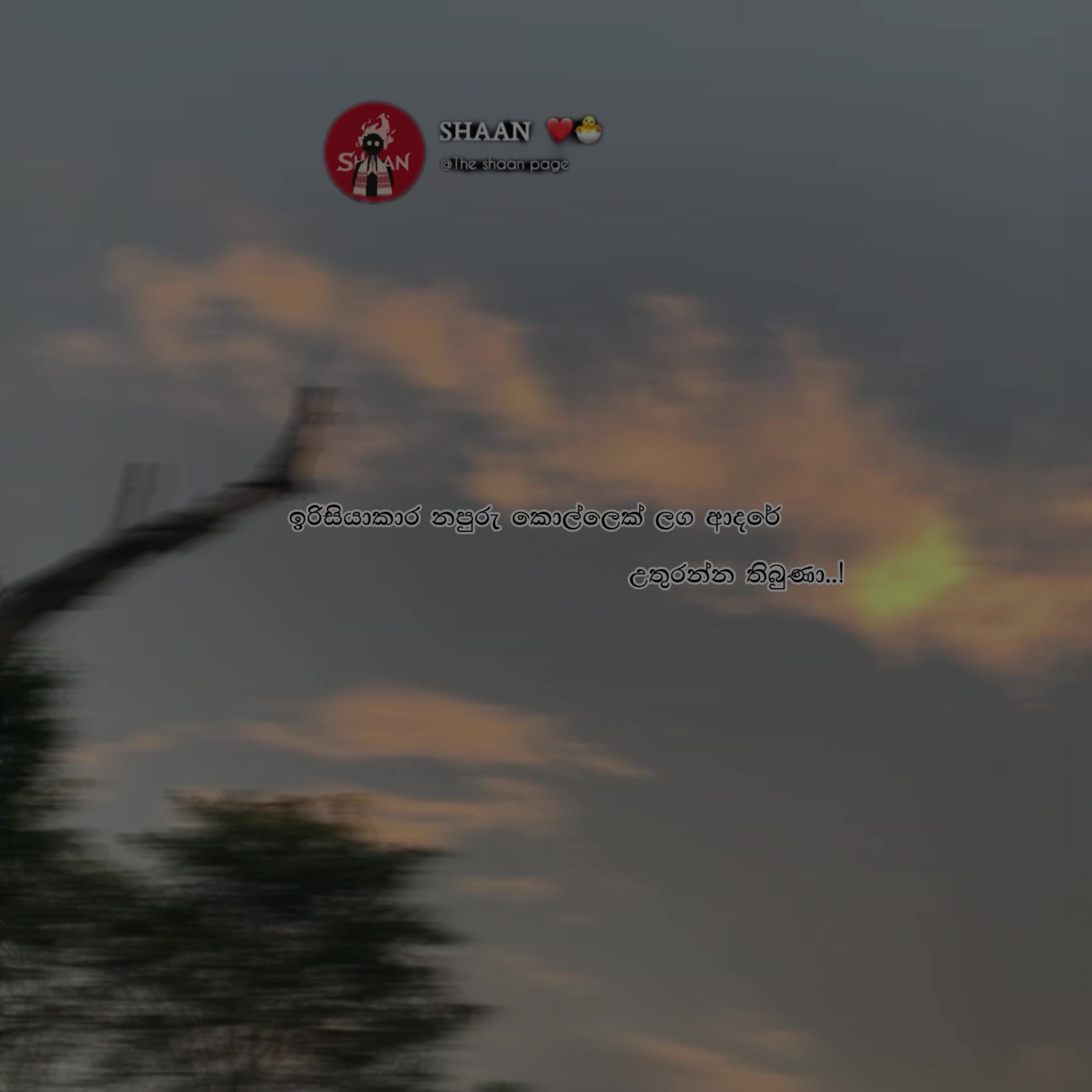 @๐ป๐๐_๐บ๐๐๐๐ ๐"