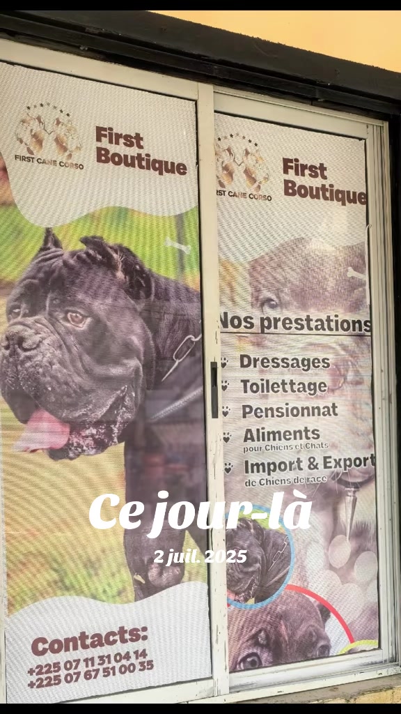 @FIRST CANE CORSO🐾🇨🇮🇨🇮🐾