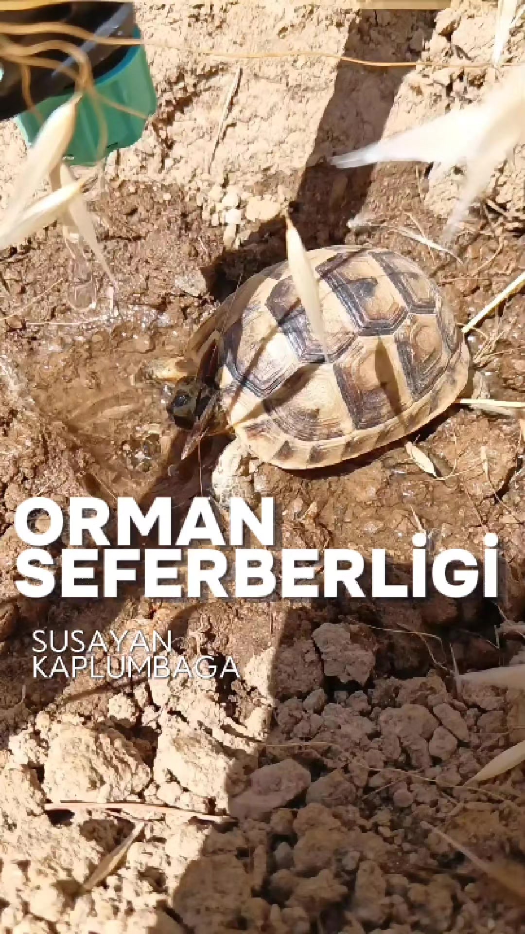 @Kutlu Bilgi