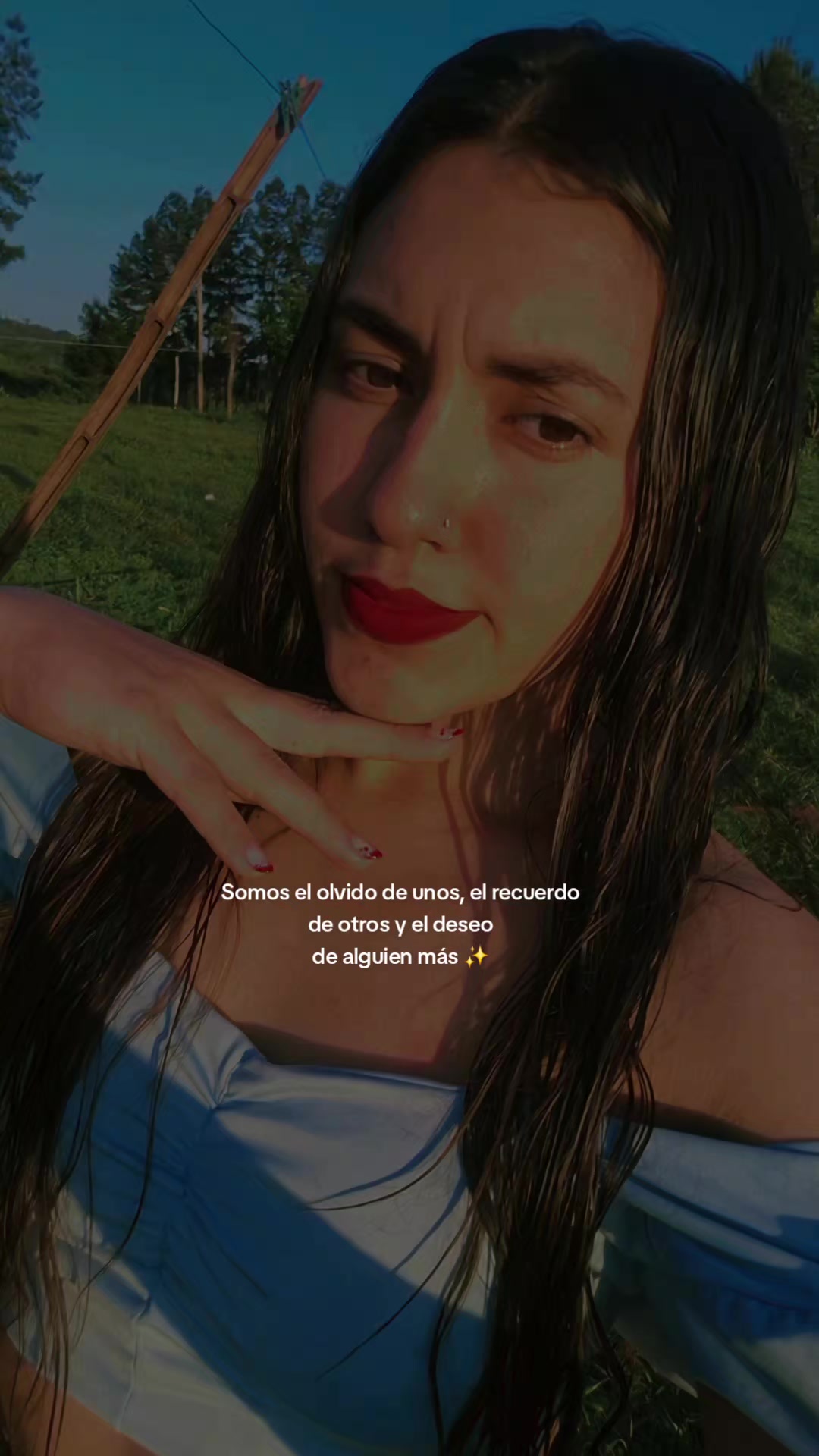 @Sara Machado
