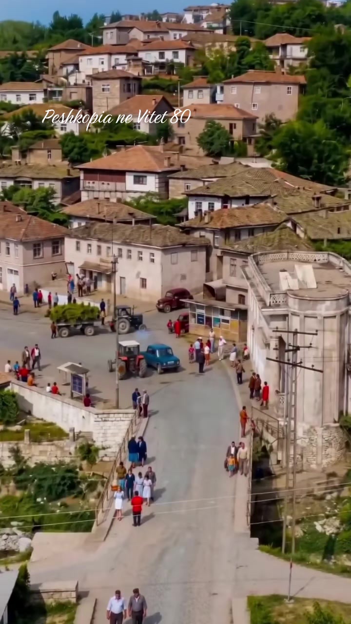 @DIBRA-REALE