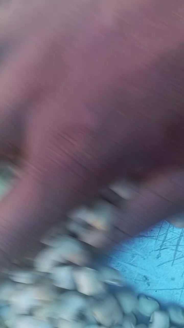 @Theobest