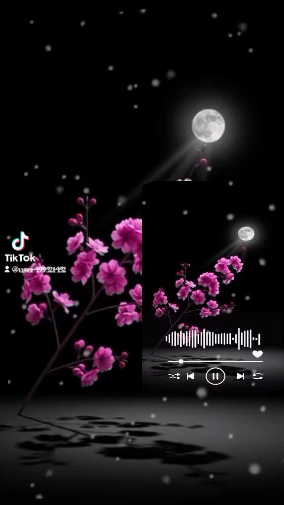 @🥰🥰Hla Wone Lay 🥰🥰