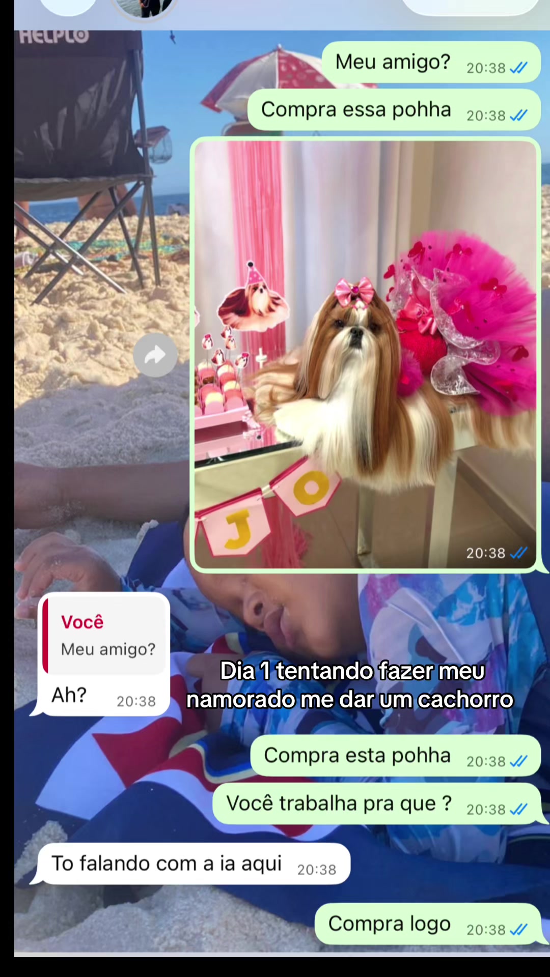 @Gatix 🐆