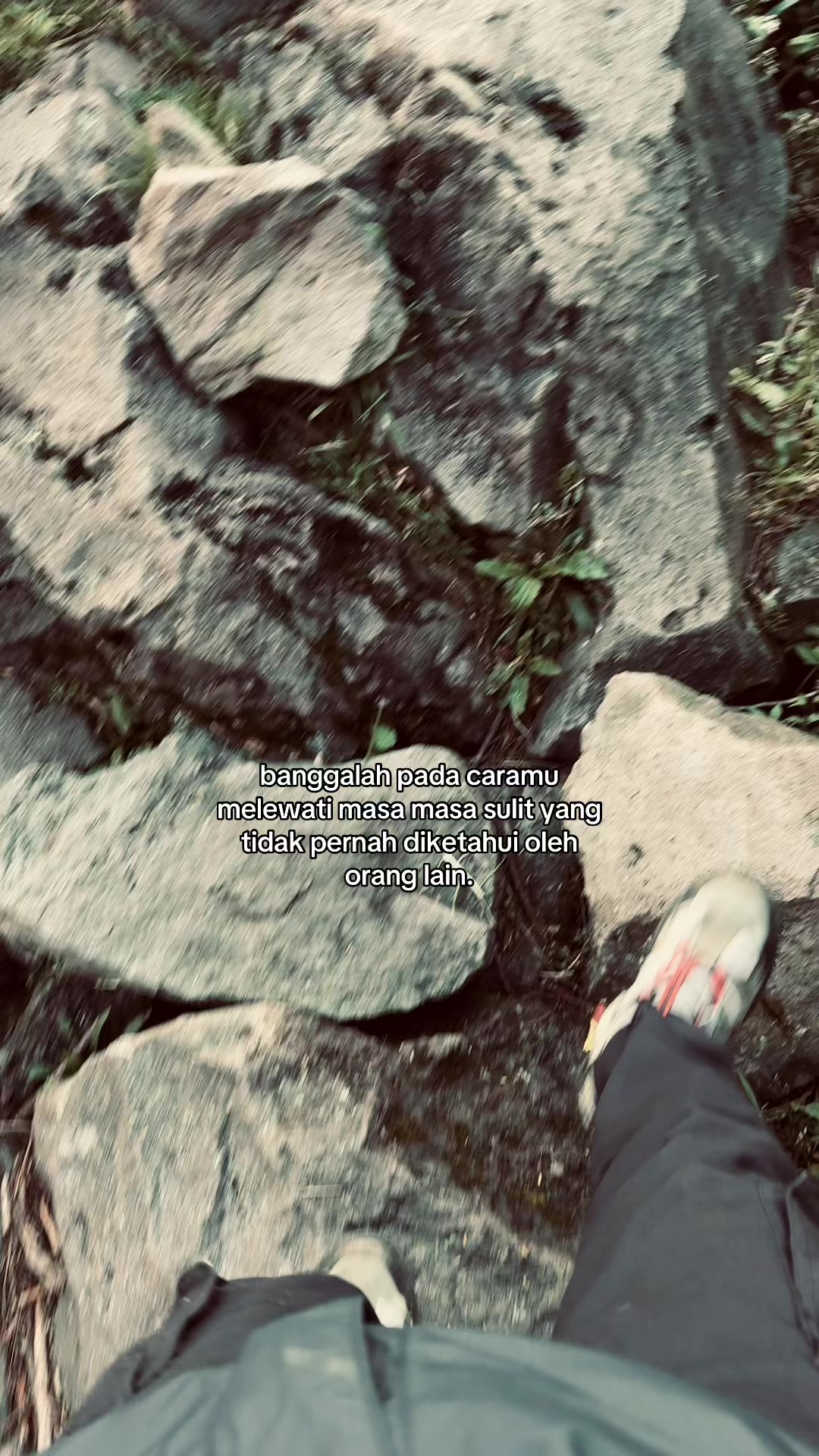 @z&sigma;&eta;&alpha;&ensp;g&alpha;ℓ&alpha;&upsilon;