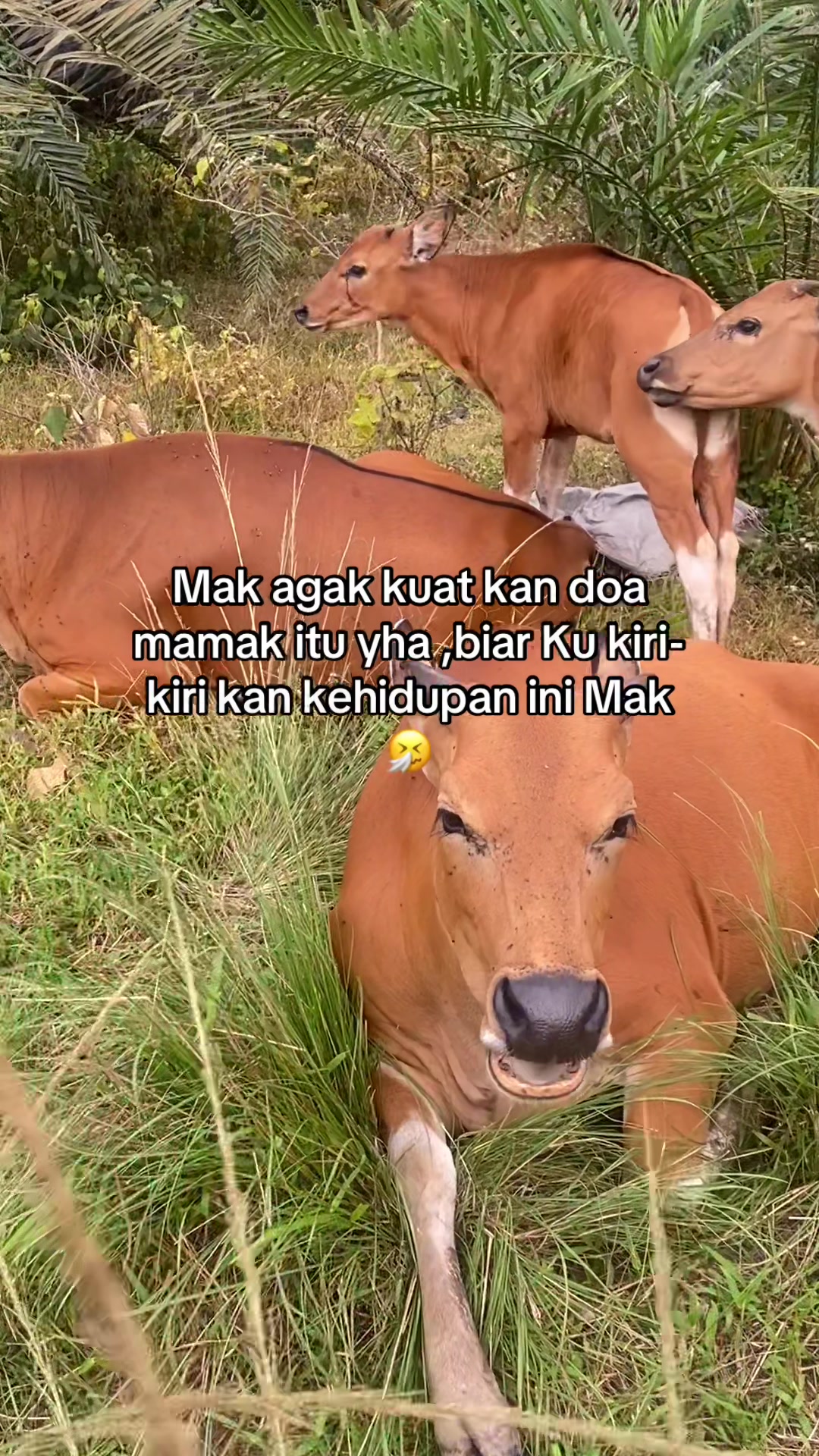 @KPH SIAK KECIL