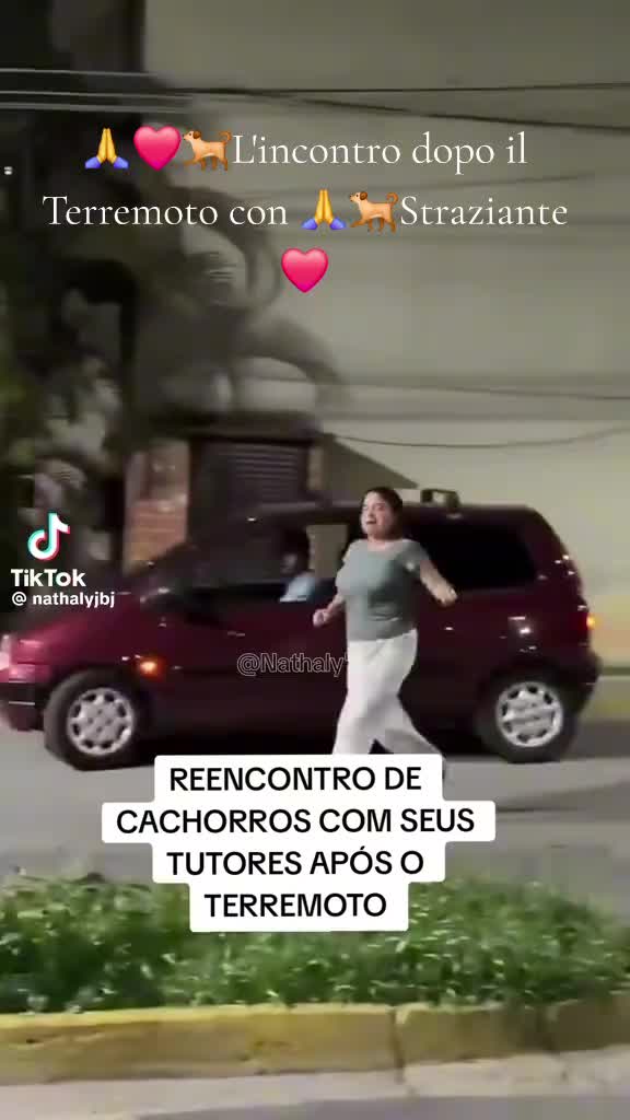 @angelicadejame