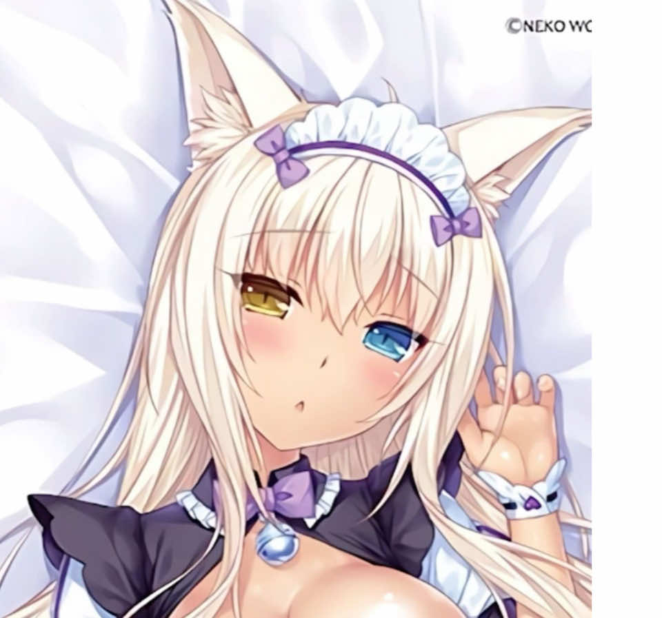 @猫 ෆ