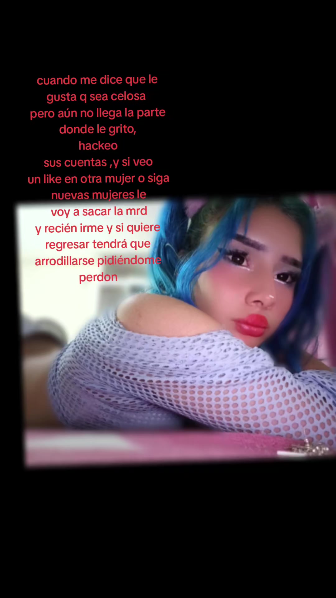 @🐬🐬