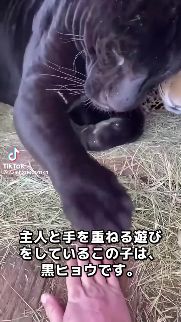 @AKIRA0707