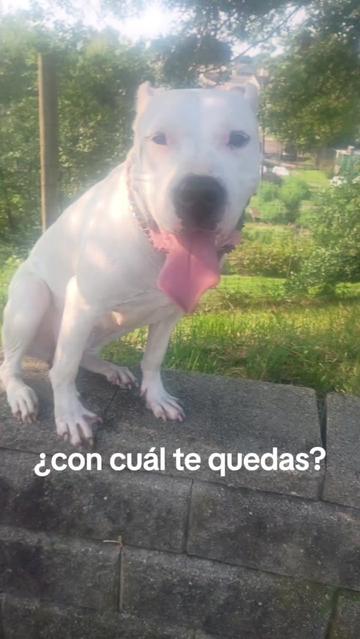 @🐾E-one 🌻Get🐕It♉ Done🪴