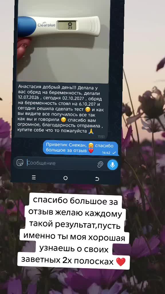 @Tarolog5467