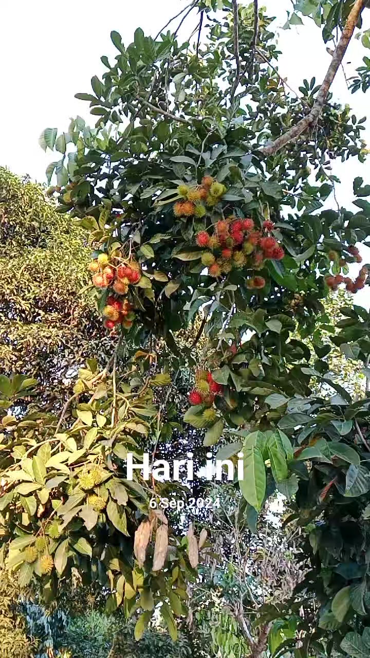 @caramel_latte