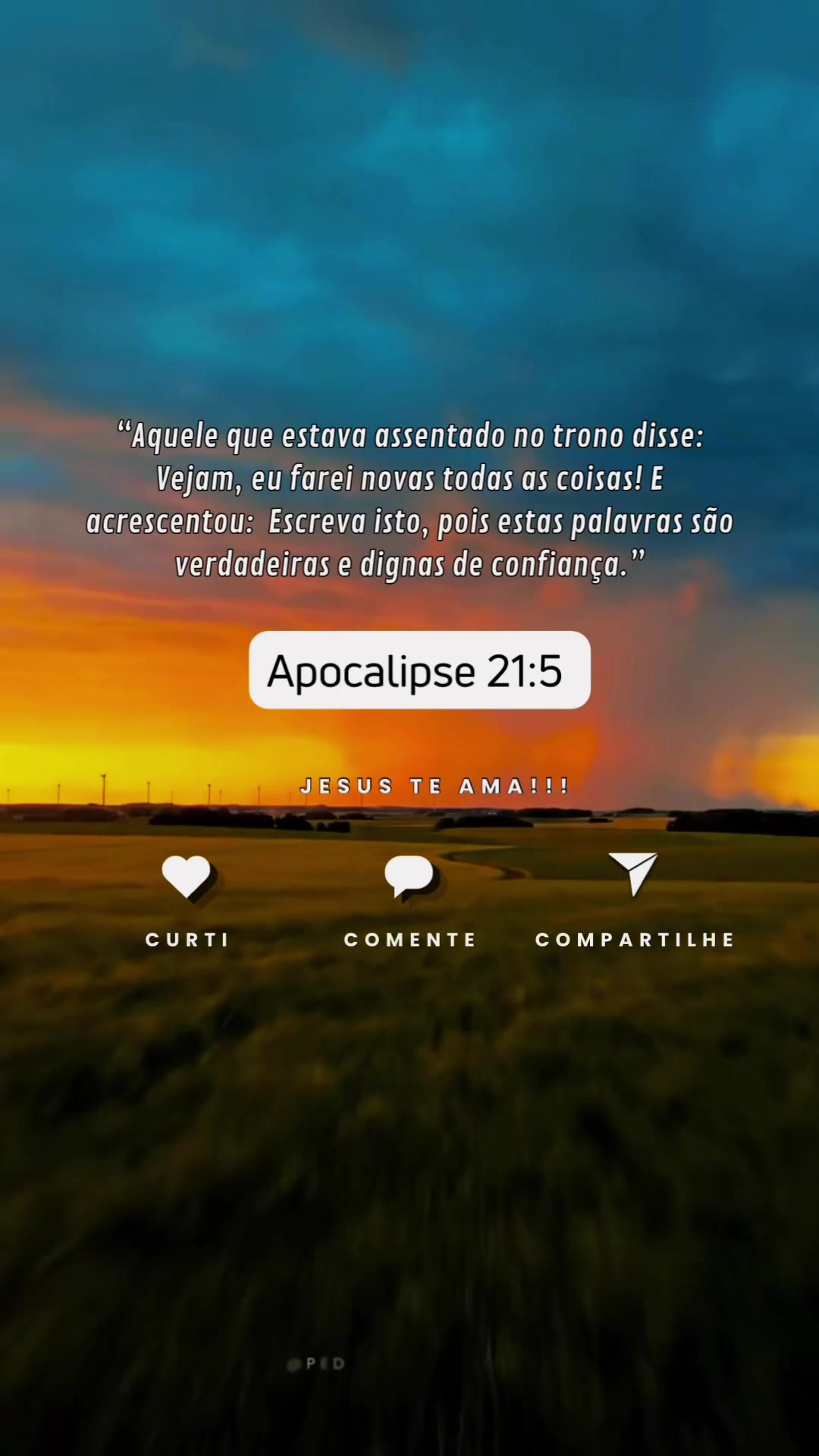 @Pedro_0fficia1🩴💫