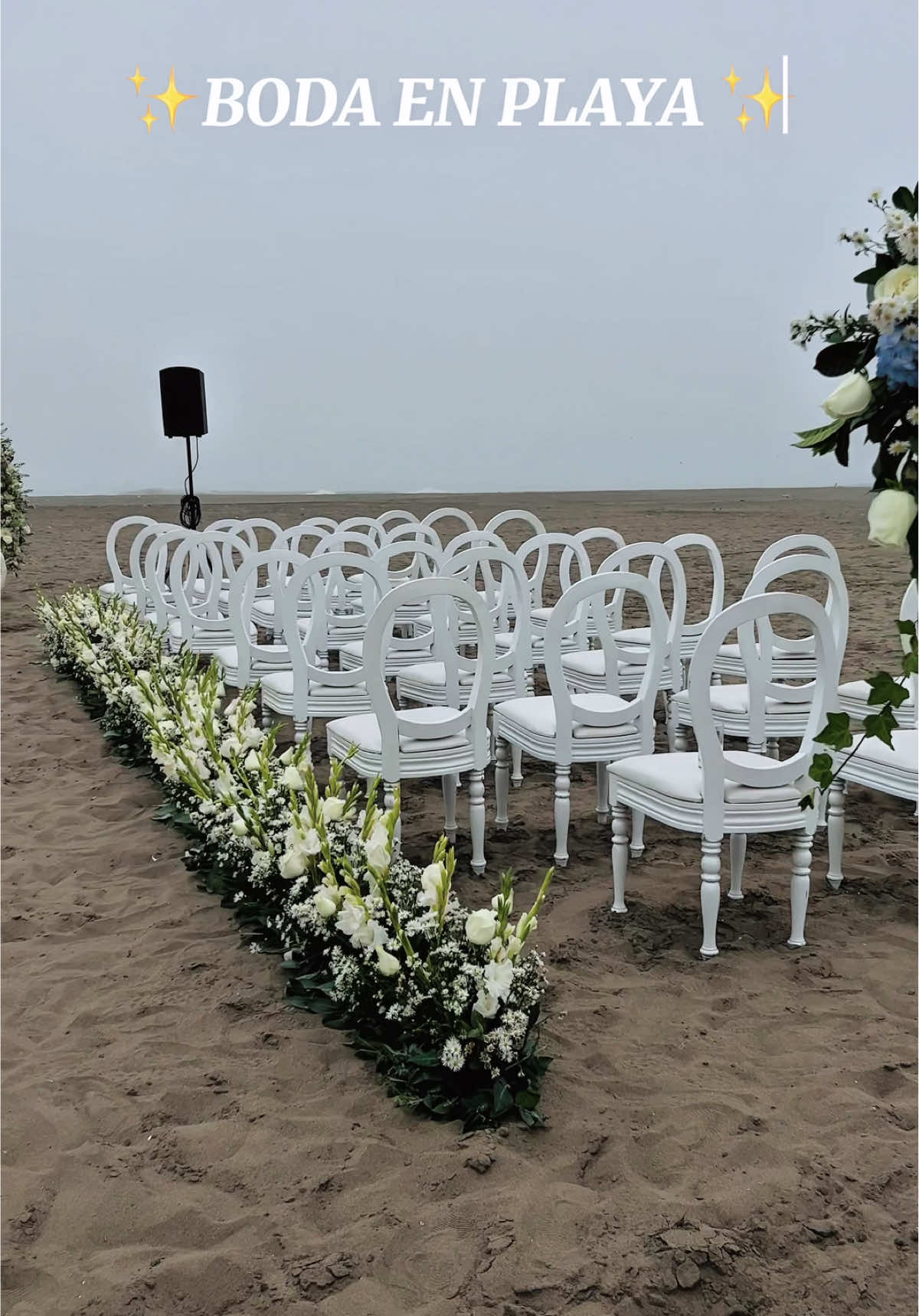 @Aida Fiestas Event Company