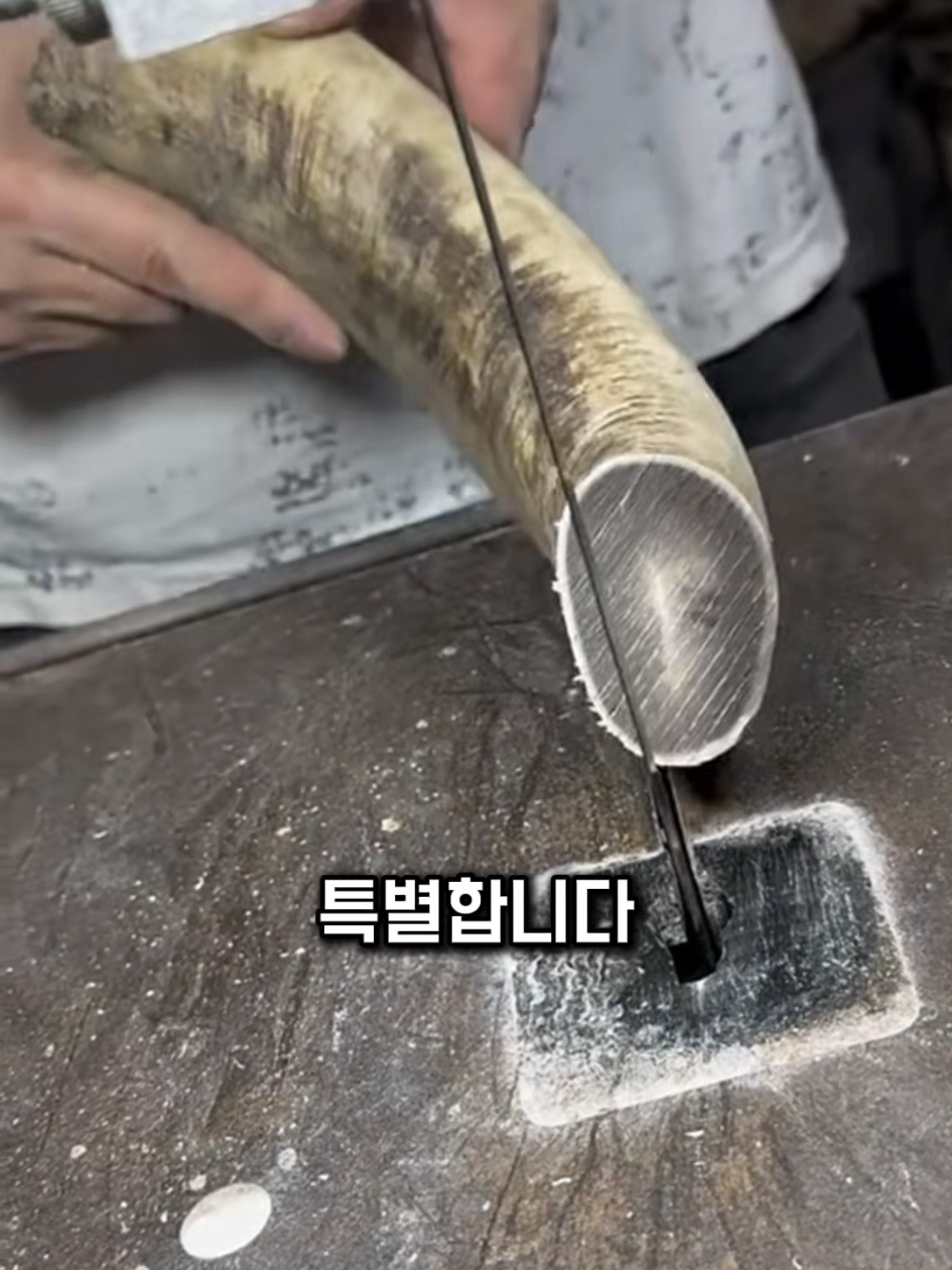 @쇼스코