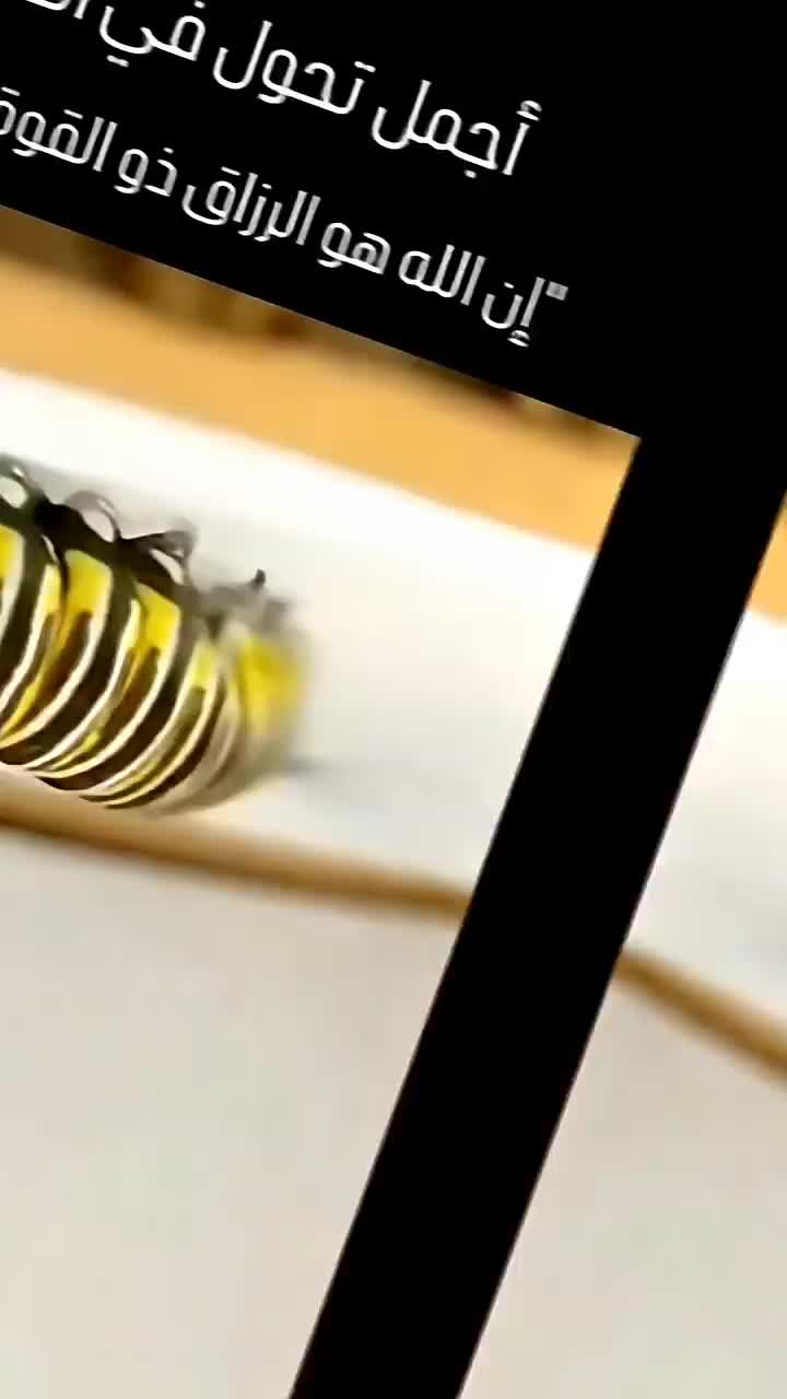 @فانز محمد شيخ