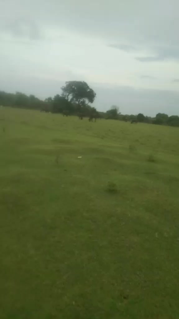 @Binith binith