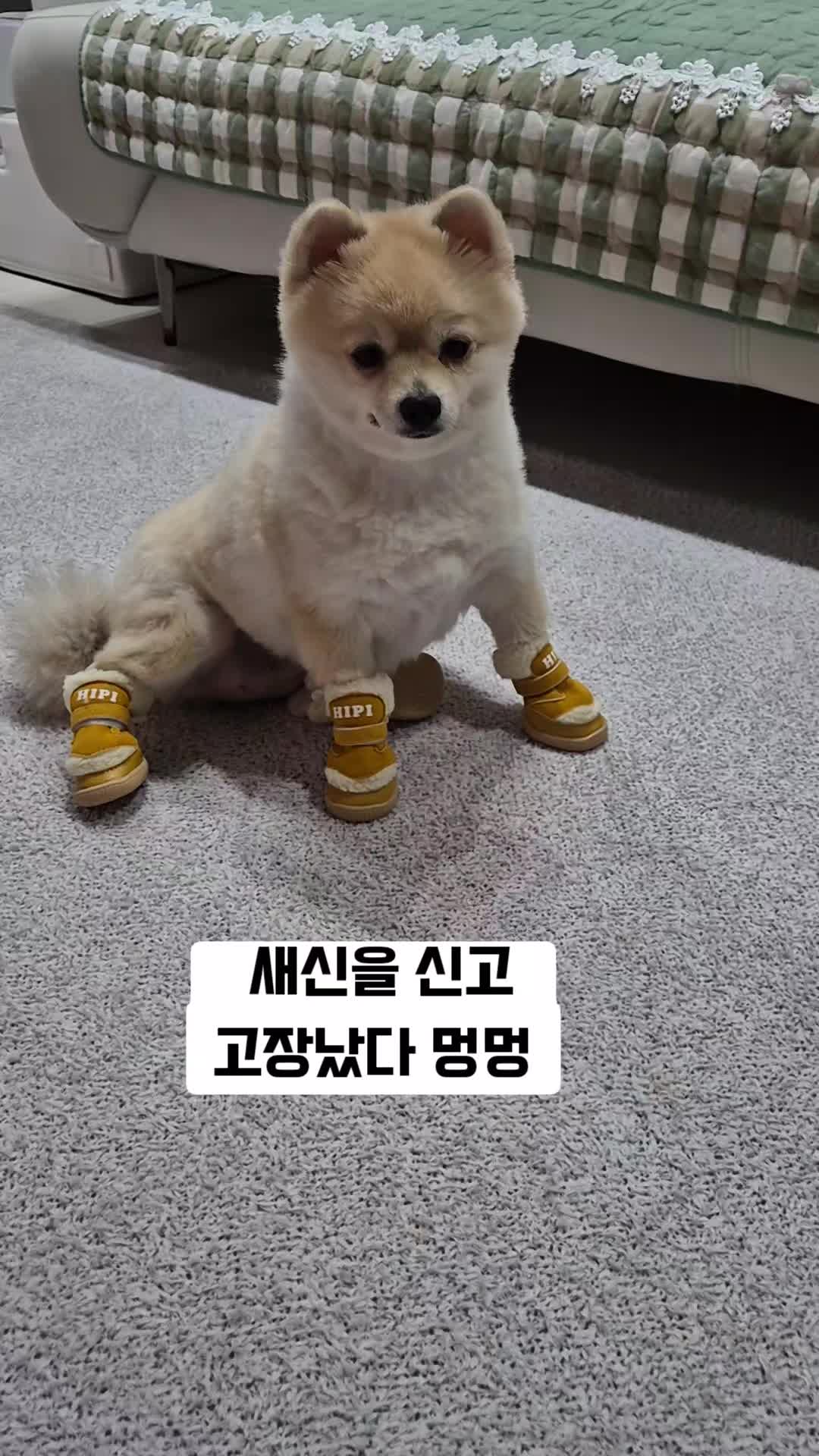 @반달이