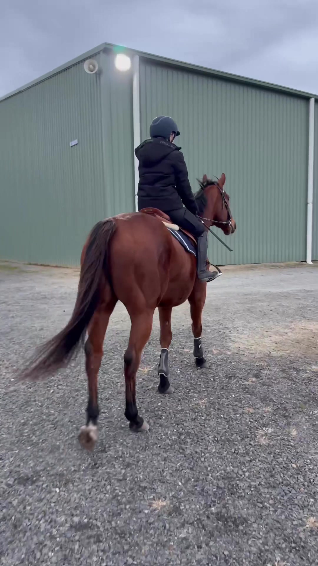 @Imi_.equestrian