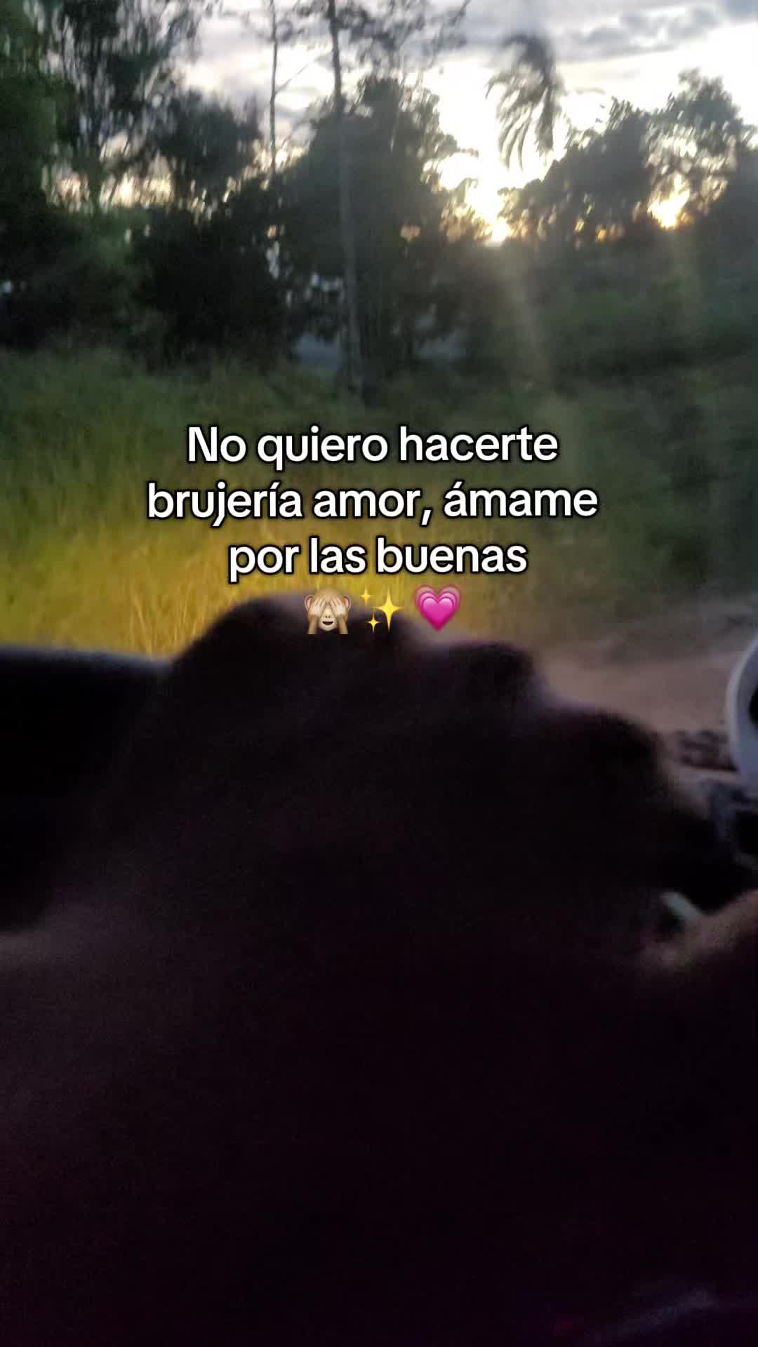 @Wilfredo Machaca