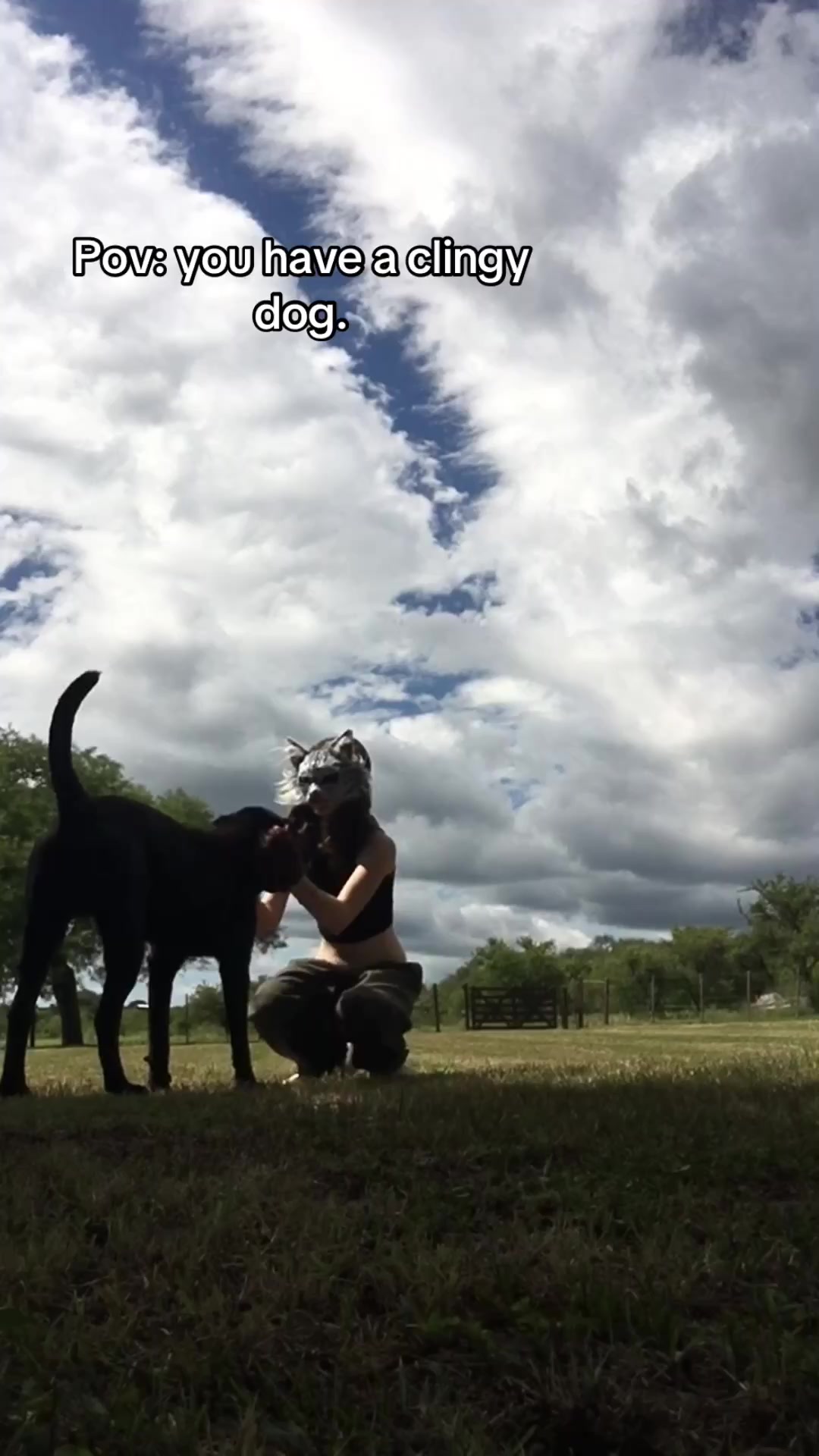 @pawless.naomi