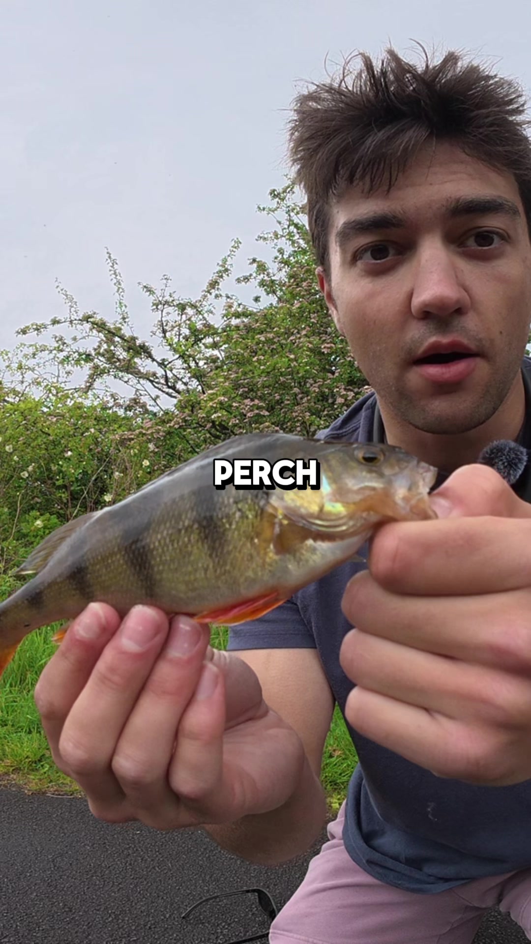 @JlangFishing